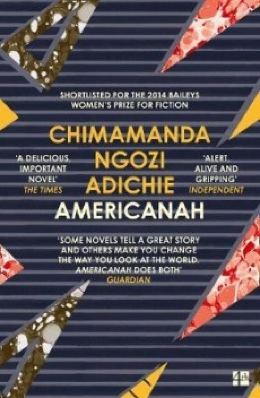 PDF Download Americanah by Chimamanda Ngozi Adichie