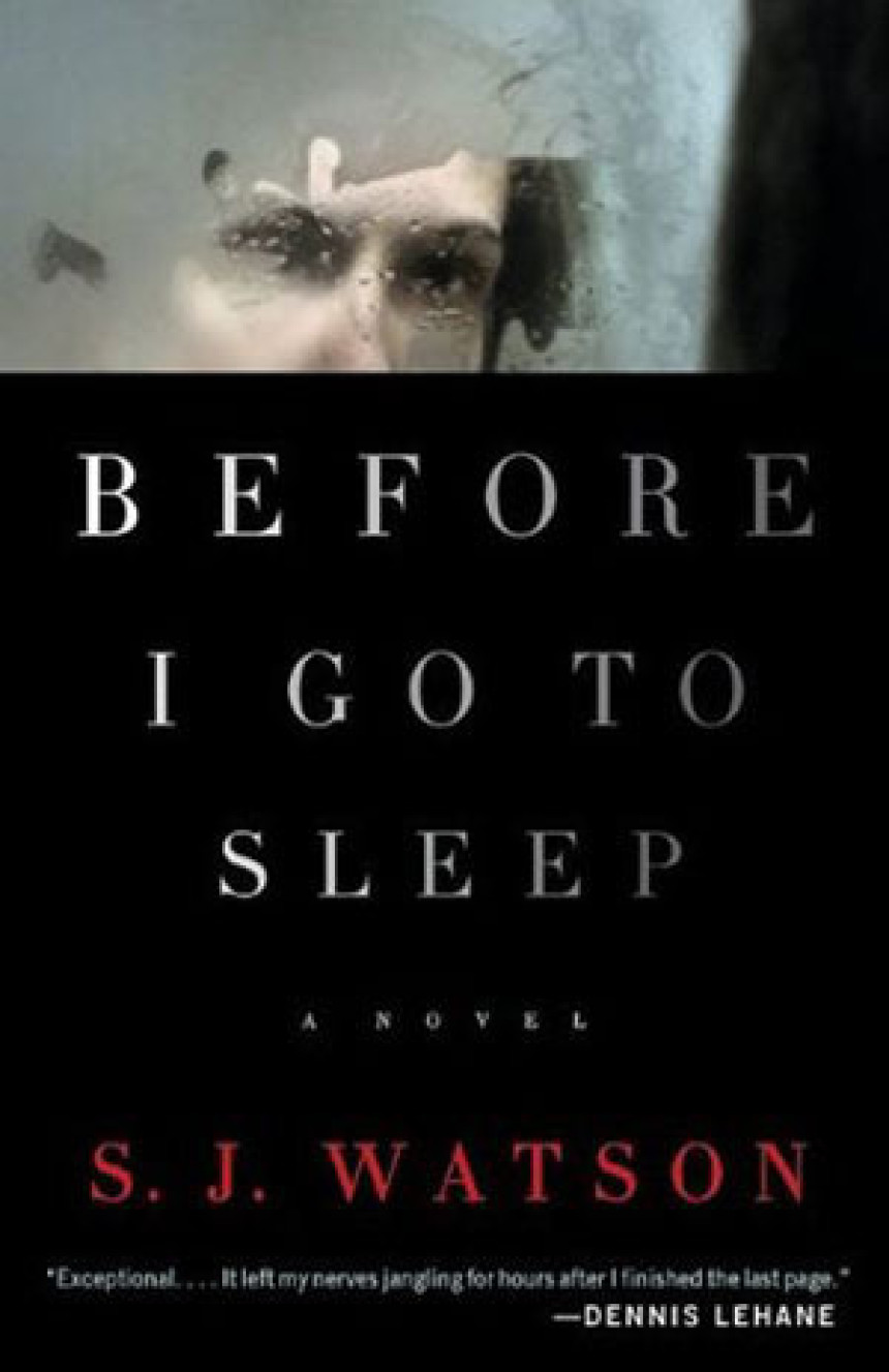 PDF Download Before I Go to Sleep by S.J. Watson