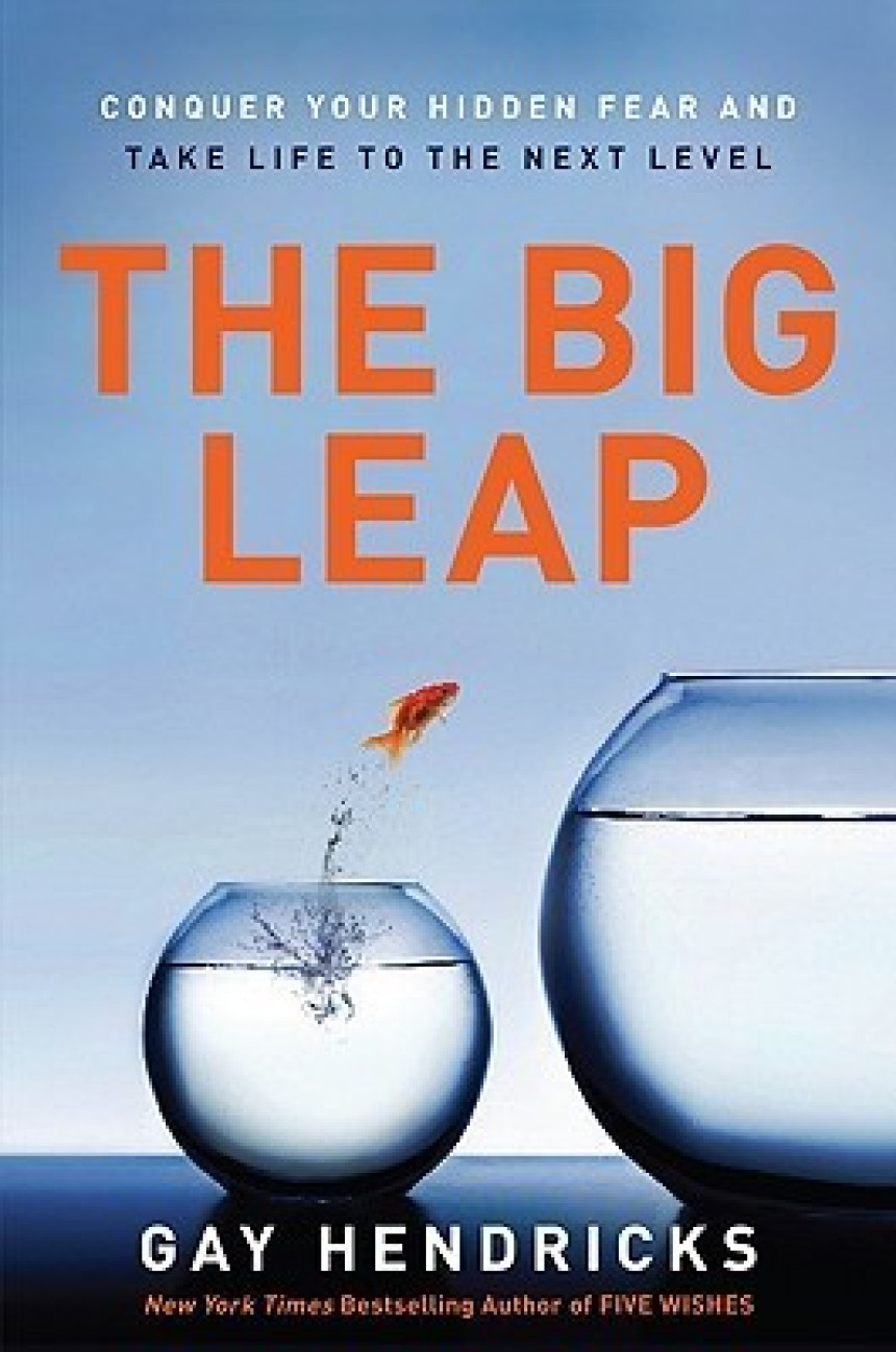 PDF Download The Big Leap: Conquer Your Hidden Fear and Take Life to the Next Level by Gay Hendricks