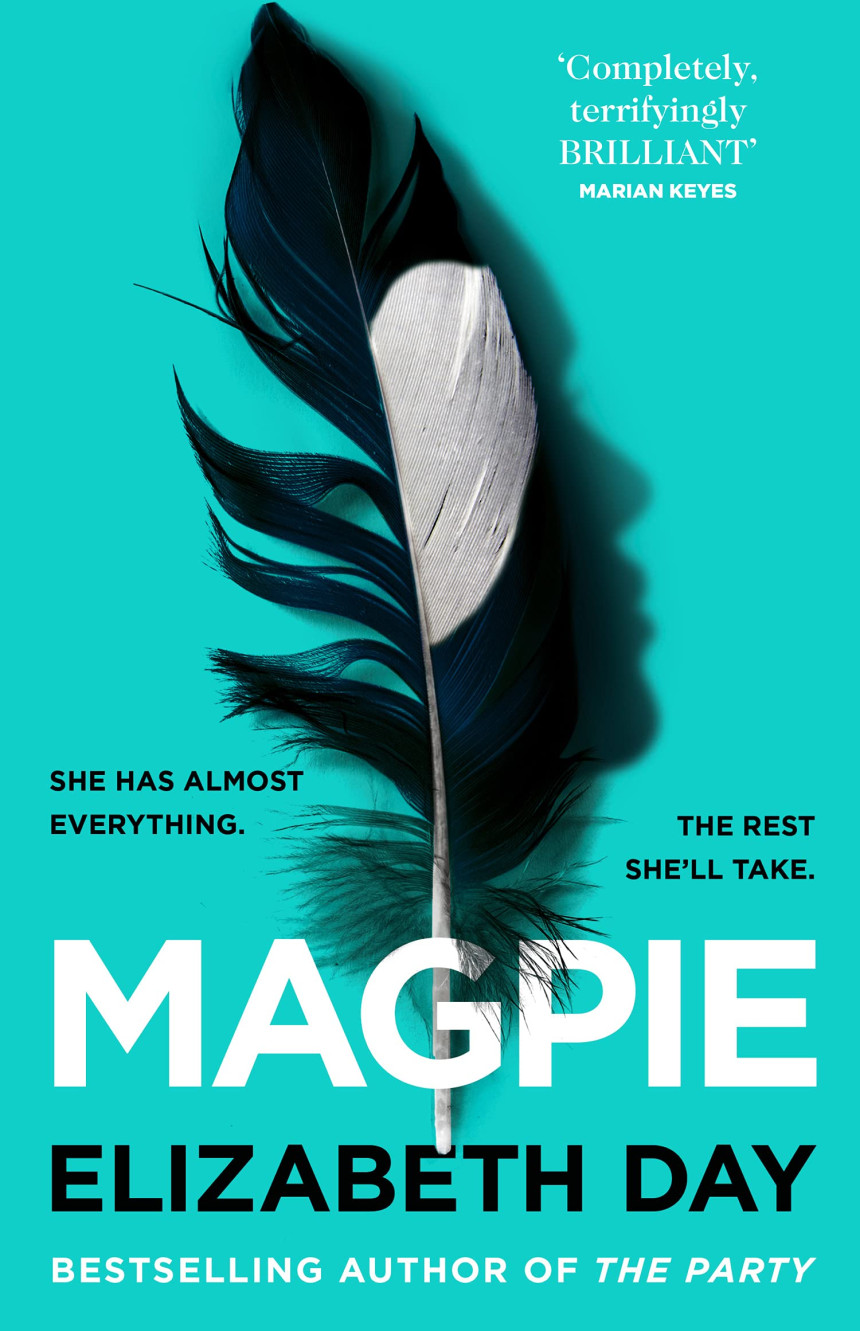 PDF Download Magpie by Elizabeth Day