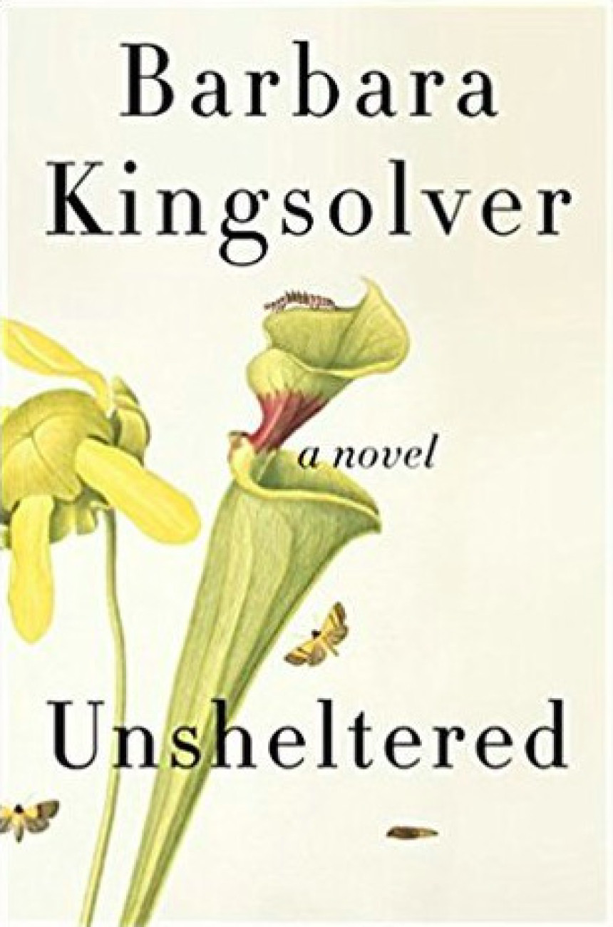 PDF Download Unsheltered by Barbara Kingsolver