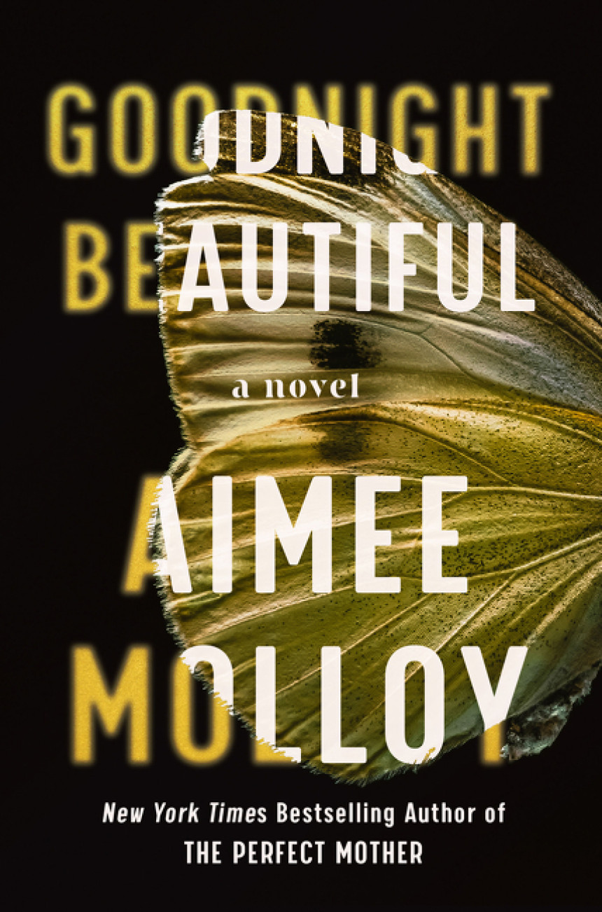 PDF Download Goodnight Beautiful by Aimee Molloy