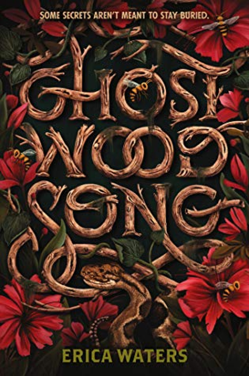 PDF Download Ghost Wood Song by Erica Waters