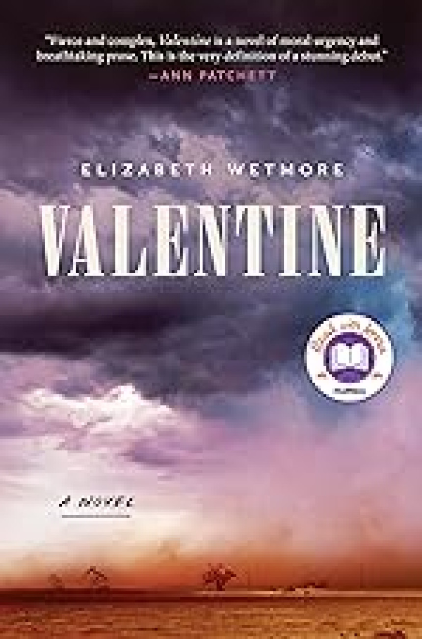 PDF Download Valentine by Elizabeth Wetmore