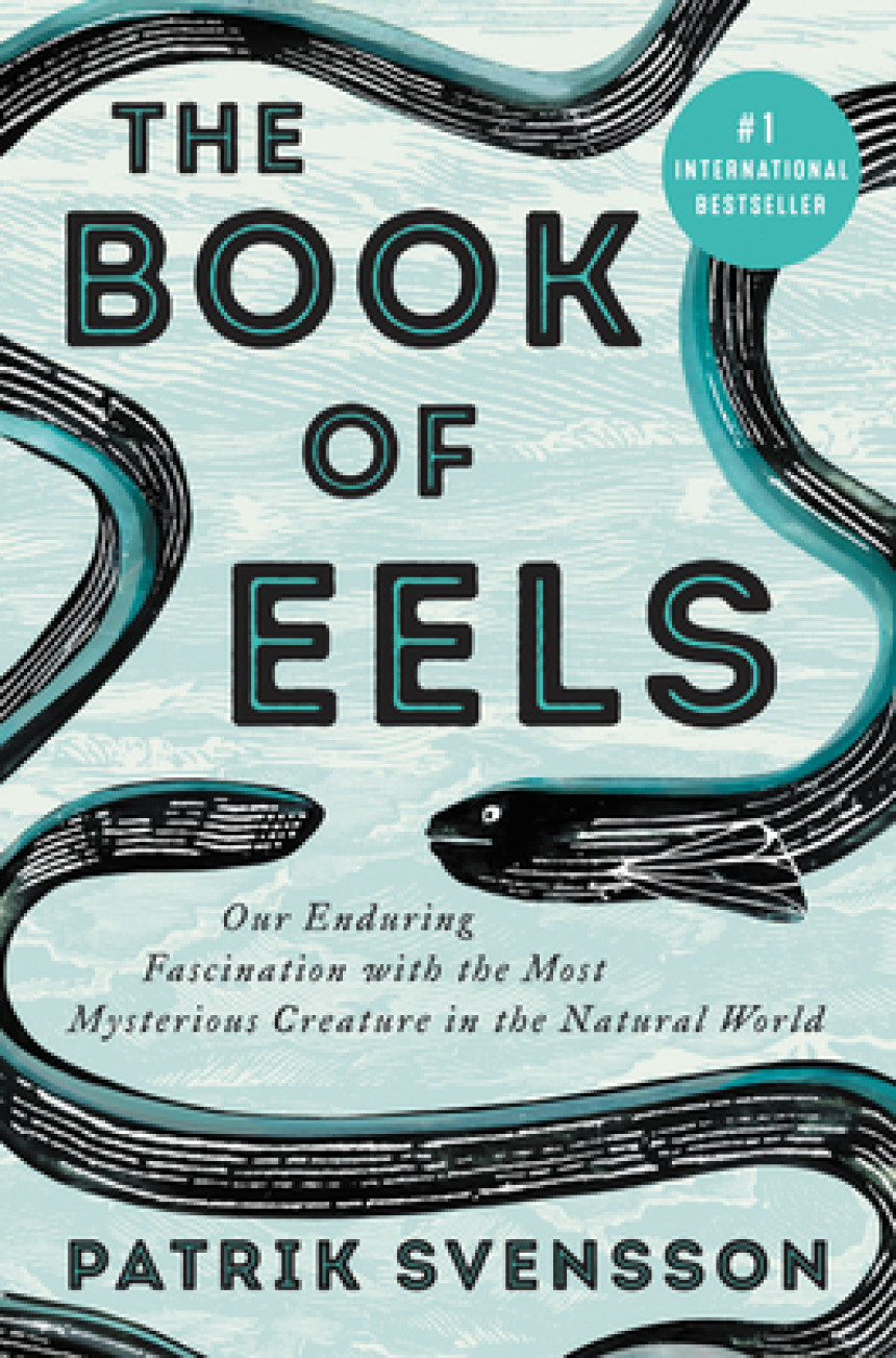 PDF Download The Book of Eels: Our Enduring Fascination with the Most Mysterious Creature in the Natural World by Patrik Svensson ,  Agnes Broomé  (Translator)