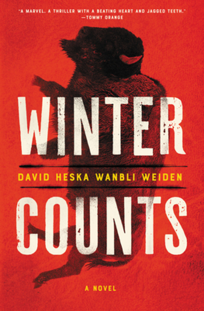 PDF Download Winter Counts by David Heska Wanbli Weiden