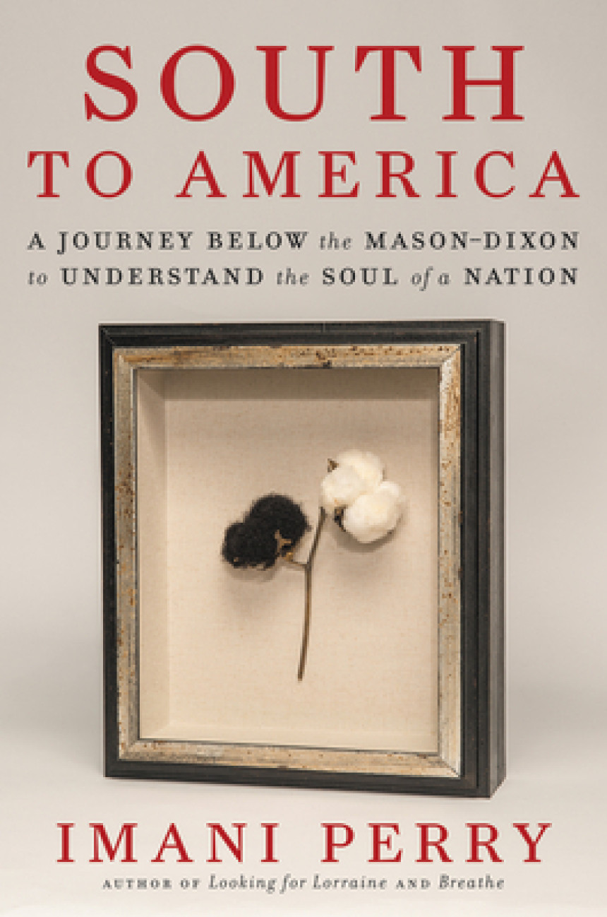 PDF Download South to America: A Journey Below the Mason Dixon to Understand the Soul of a Nation  Imani Perry