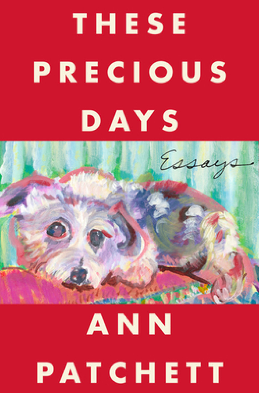 PDF Download These Precious Days: Essays by Ann Patchett