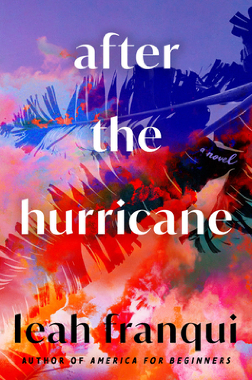 PDF Download After the Hurricane by Leah Franqui