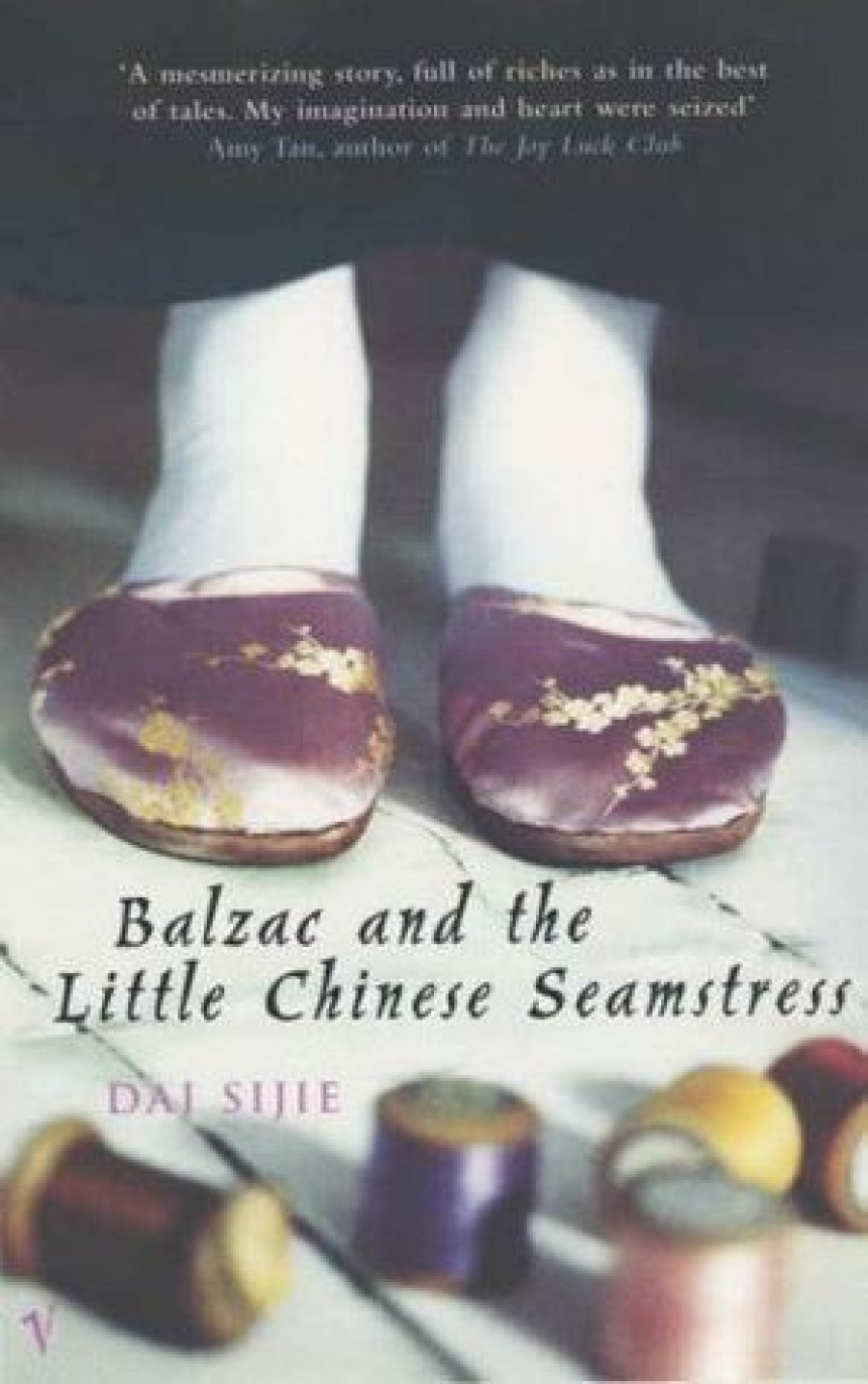 PDF Download Balzac and the Little Chinese Seamstress by Dai Sijie ,  Ina Rilke  (Translator)