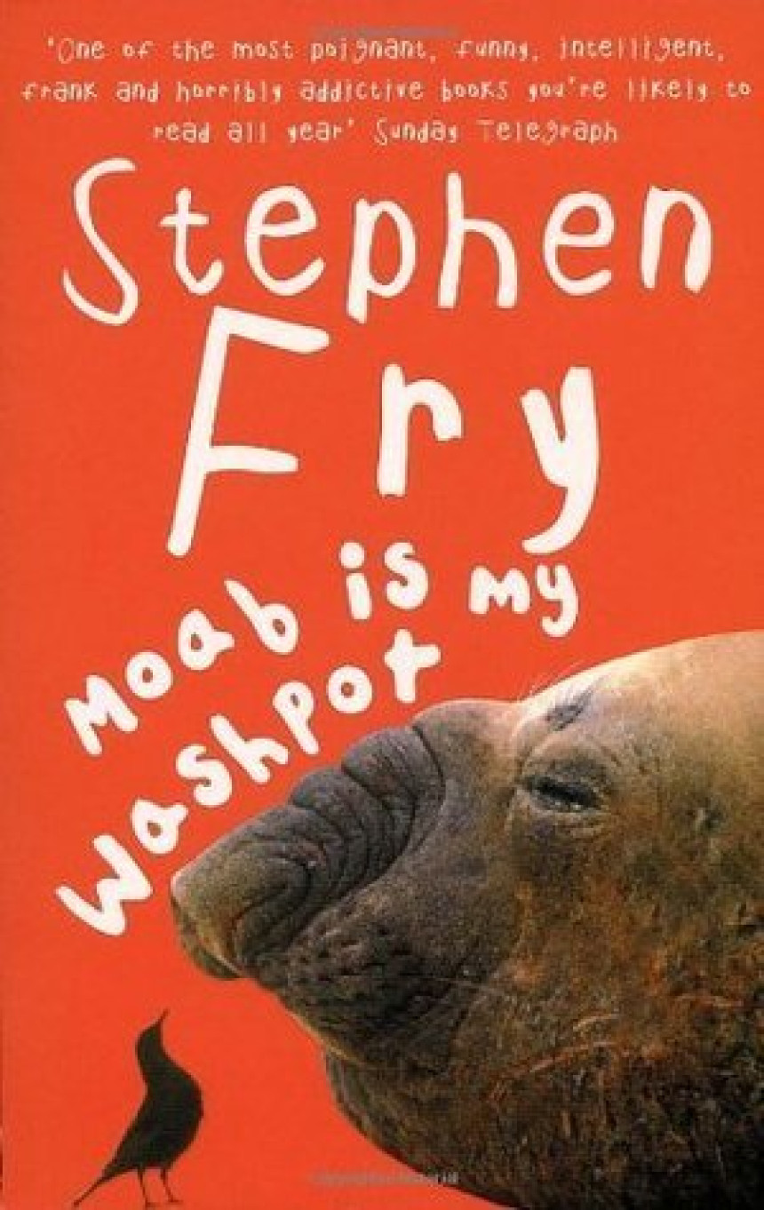 PDF Download Memoir #1 Moab Is My Washpot by Stephen Fry