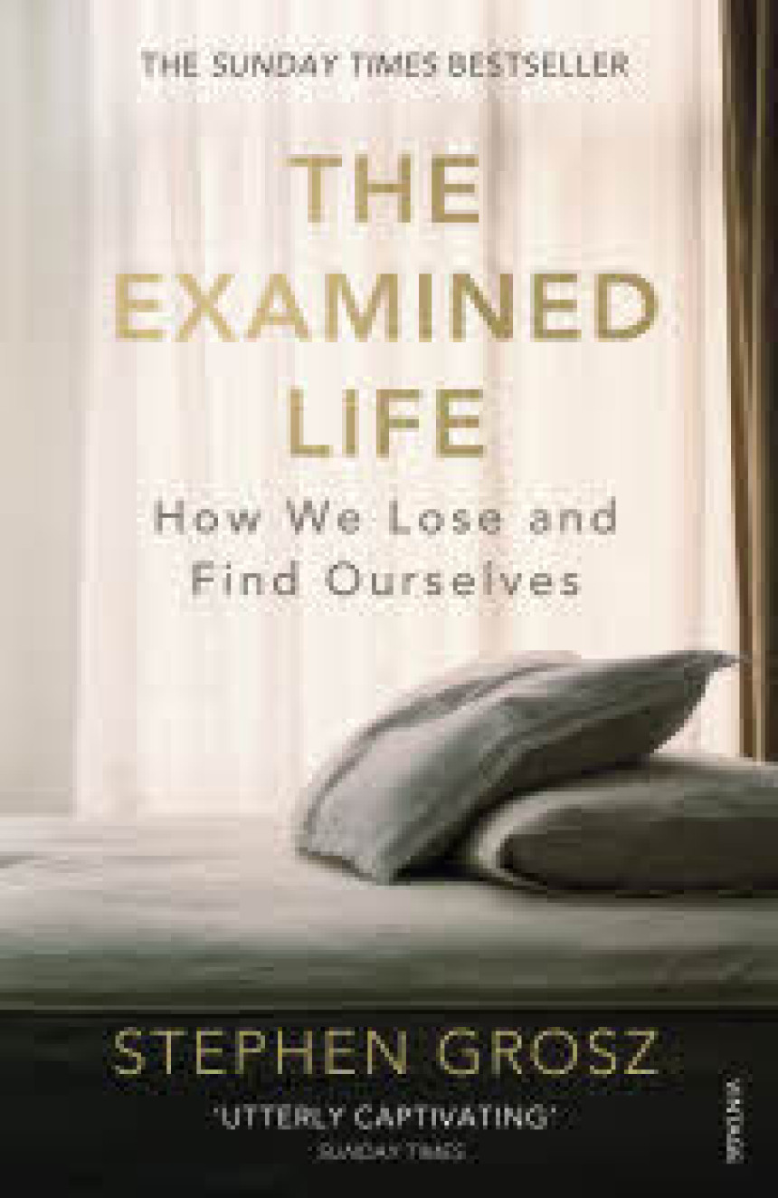 PDF Download The Examined Life: How We Lose and Find Ourselves by Stephen Grosz