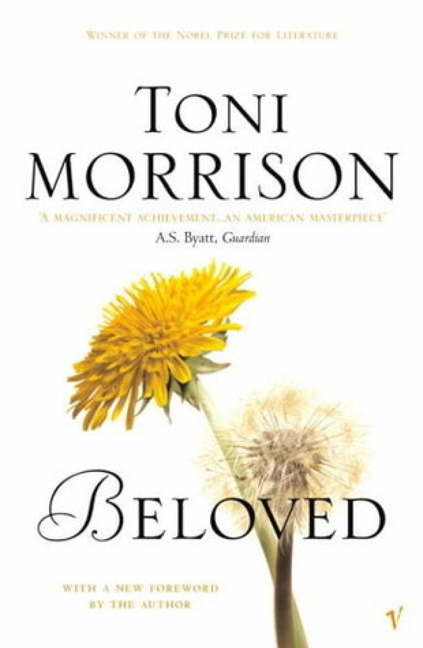 PDF Download Beloved Trilogy #1 Beloved by Toni Morrison