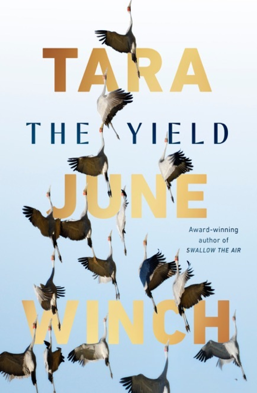 PDF Download The Yield by Tara June Winch