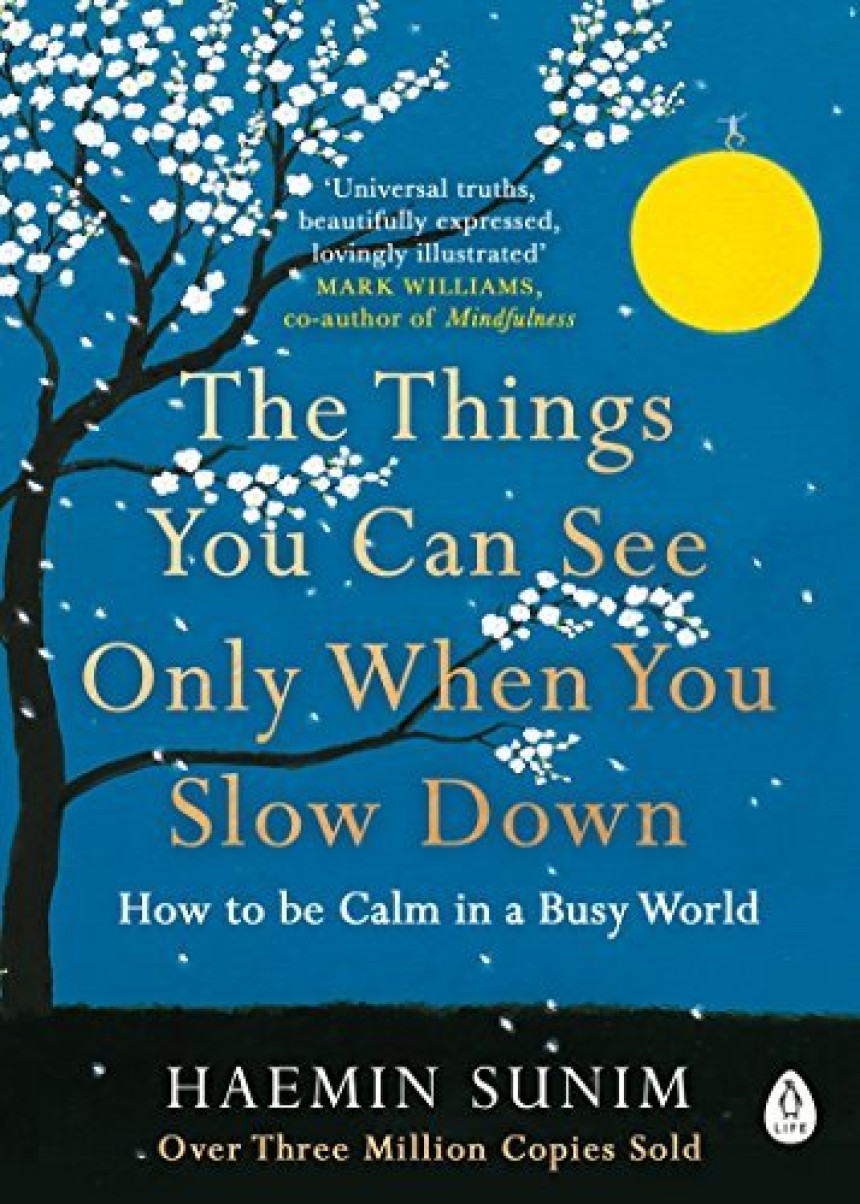 PDF Download The Things You Can See Only When You Slow Down by Haemin Sunim