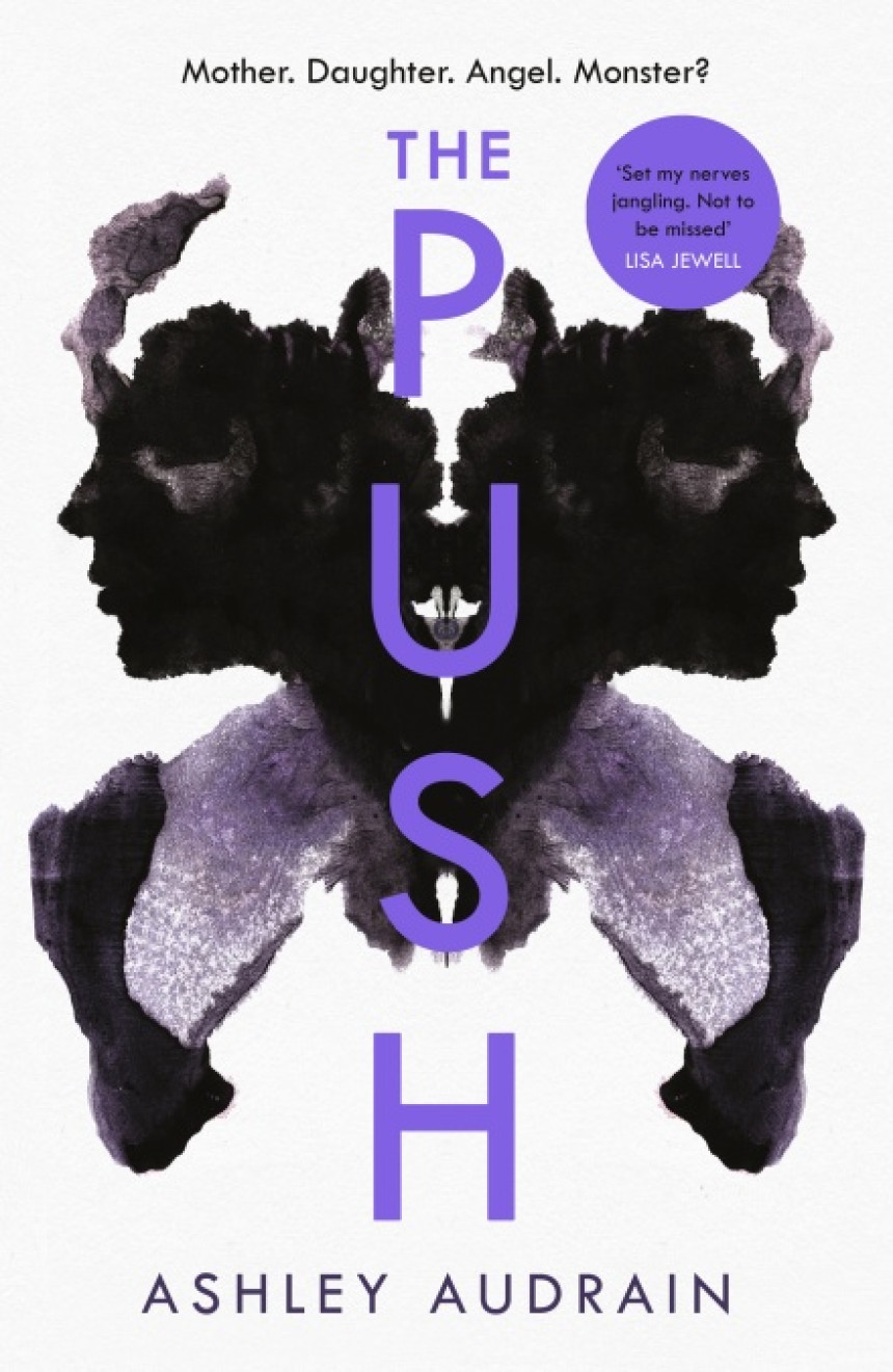 PDF Download The Push by Ashley Audrain