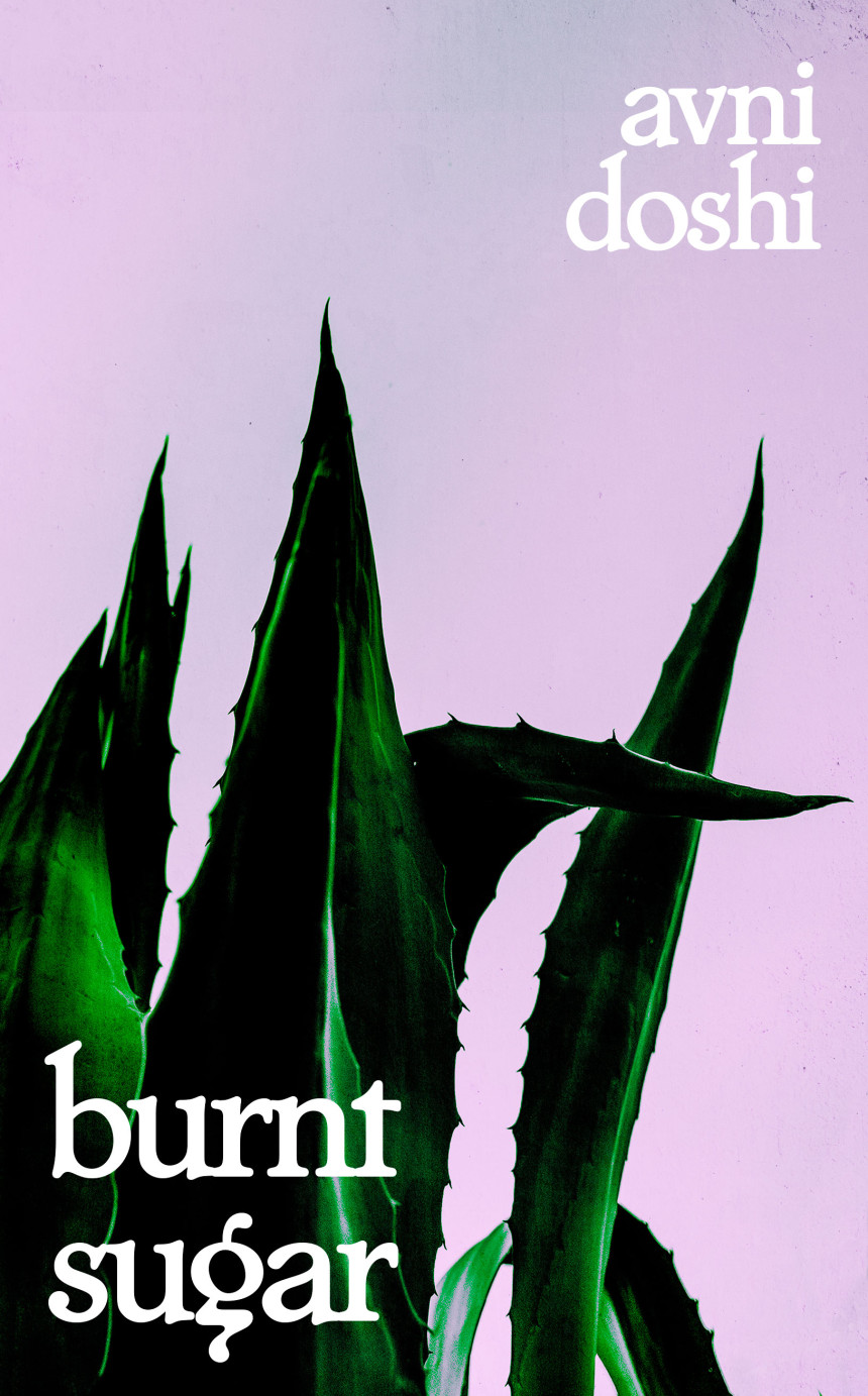 PDF Download Burnt Sugar by Avni Doshi