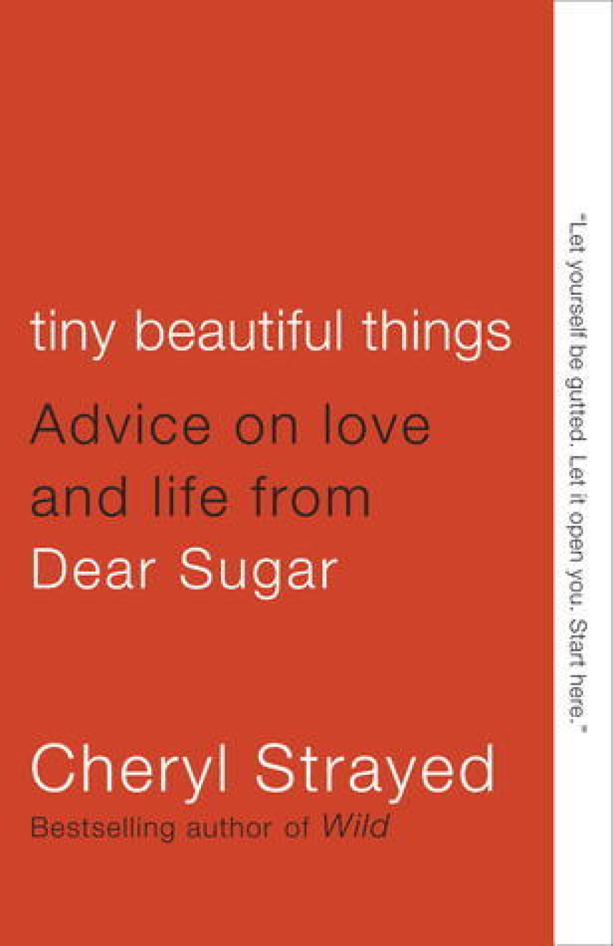 PDF Download Tiny Beautiful Things: Advice on Love and Life from Dear Sugar by Cheryl Strayed