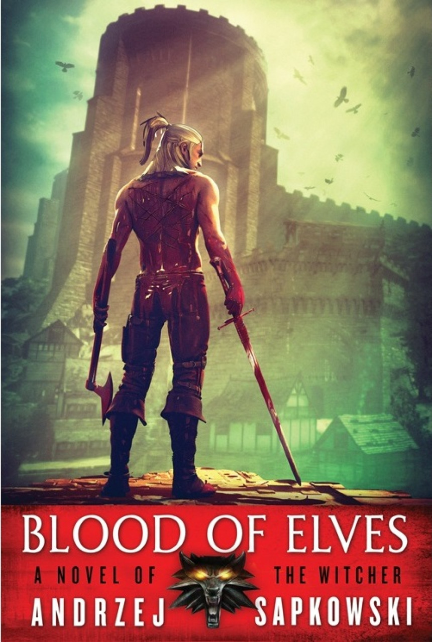 Free Download The Witcher #1 Blood of Elves by Andrzej Sapkowski ,  Danusia Stok  (Translator)