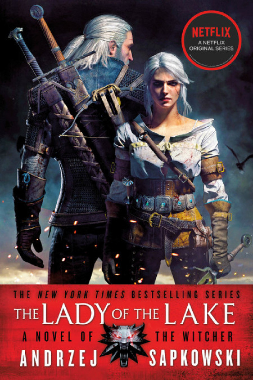 Free Download The Witcher #5 The Lady of the Lake by Andrzej Sapkowski ,  David French  (Translator)