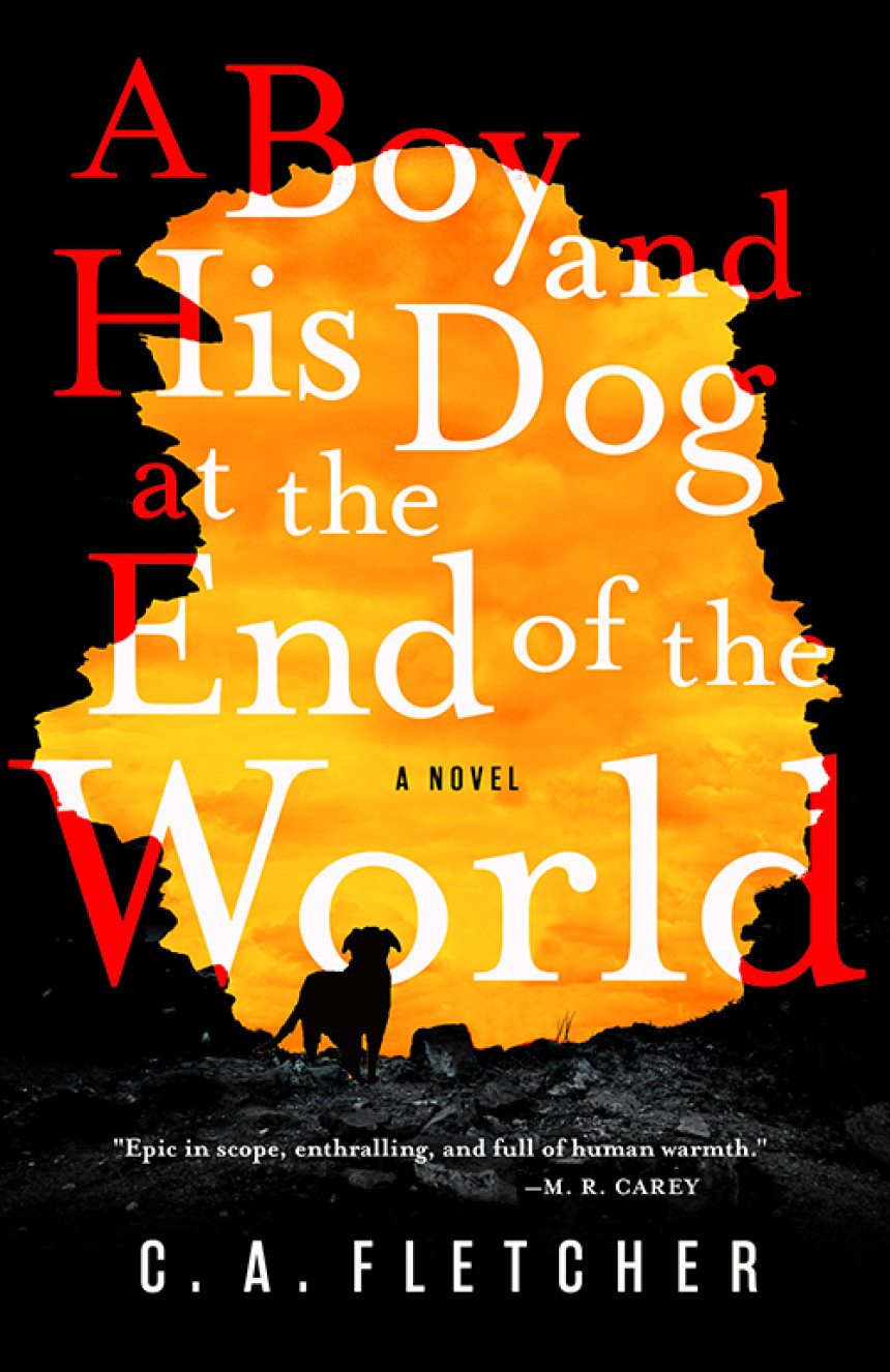 Free Download A Boy and His Dog at the End of the World by C.A. Fletcher