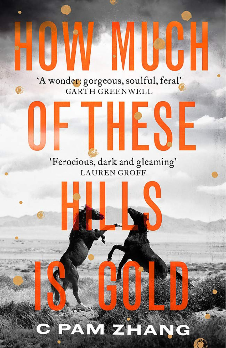 Free Download How Much of These Hills Is Gold by C Pam Zhang