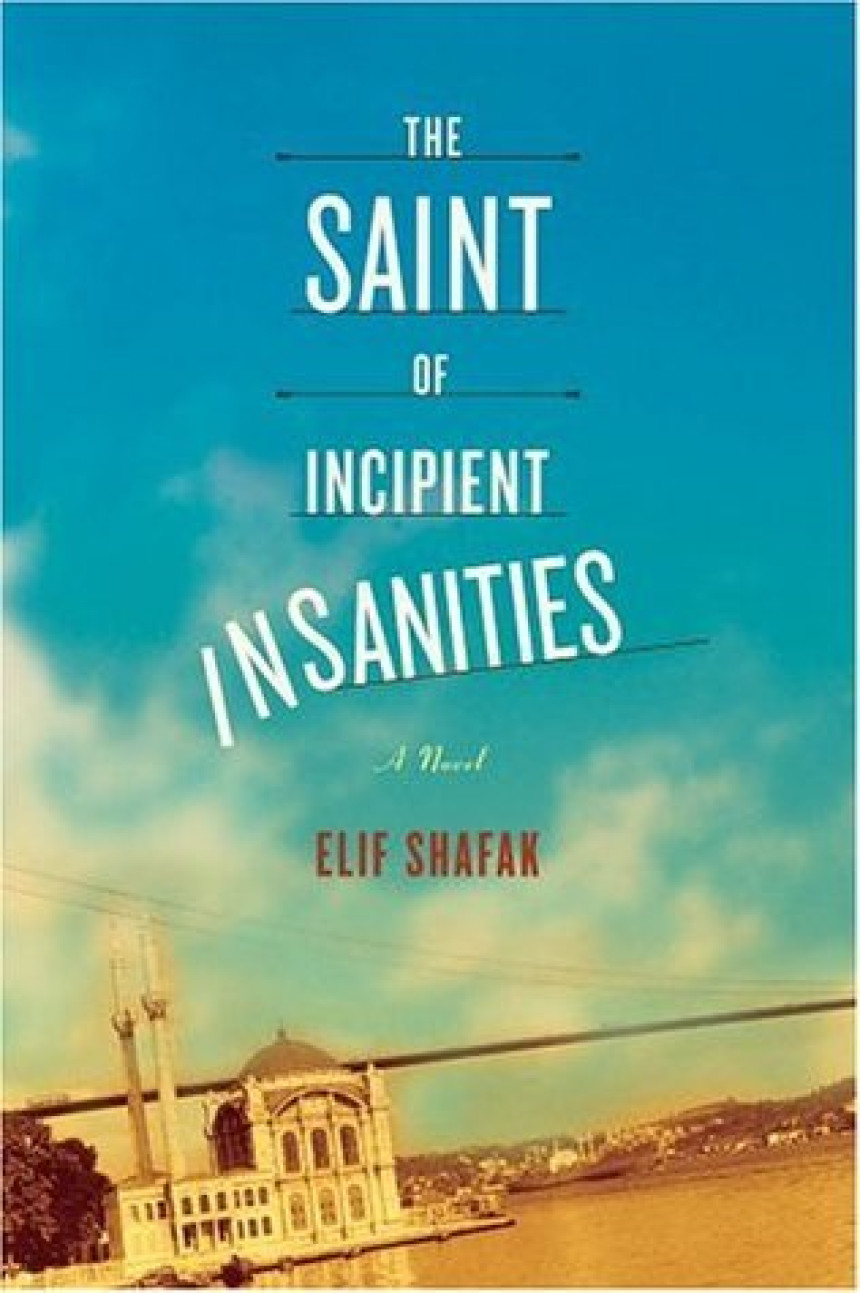 Free Download The Saint of Incipient Insanities by Elif Shafak