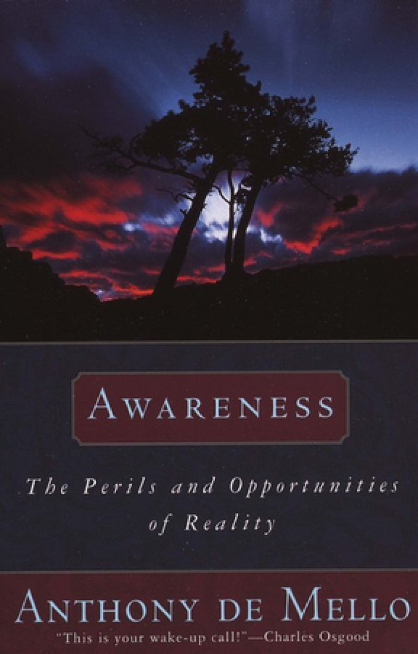 Free Download Awareness: The Perils and Opportunities of Reality by Anthony de Mello ,  J. Francis Stroud  (Editor)