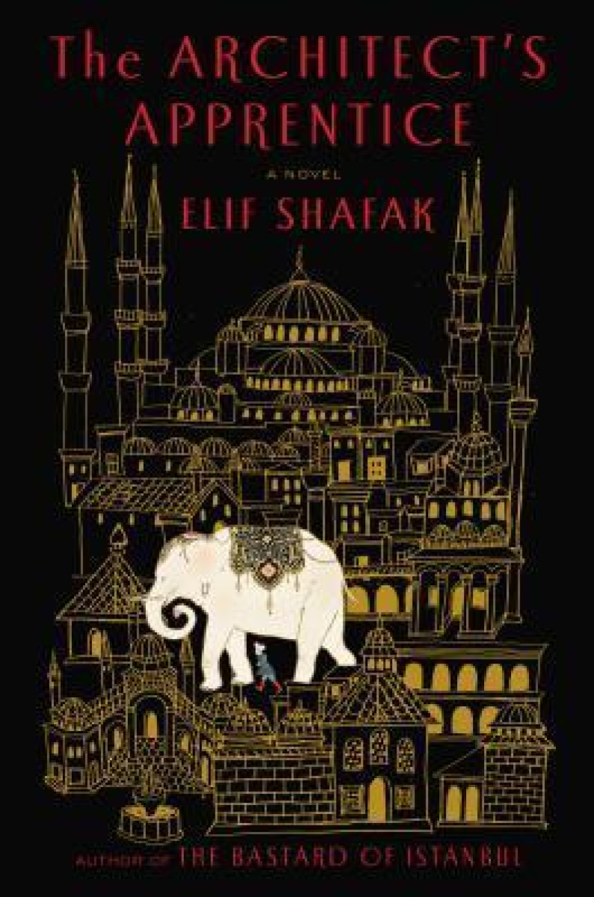 Free Download The Architect's Apprentice by Elif Shafak