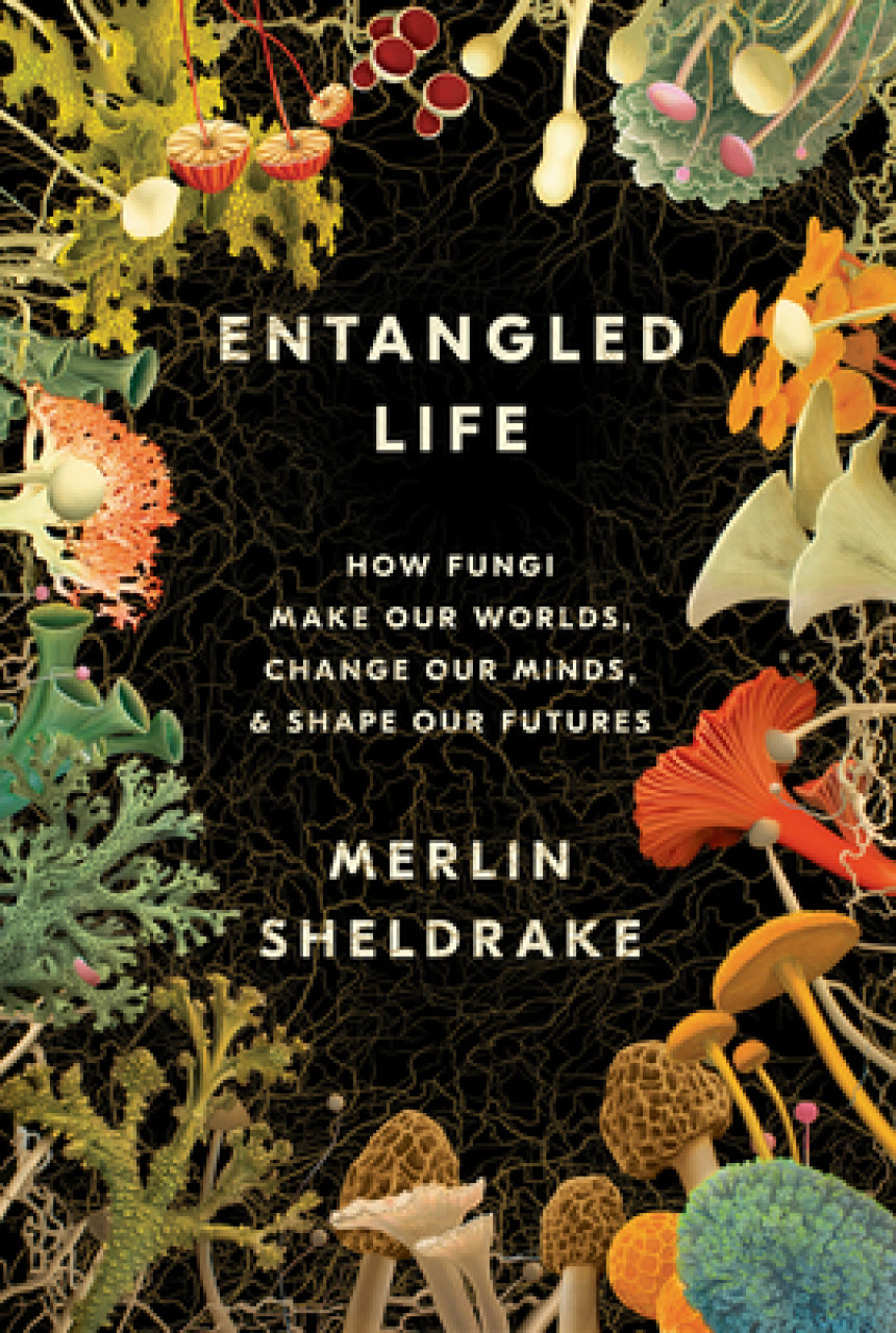 Free Download Entangled Life: How Fungi Make Our Worlds, Change Our Minds & Shape Our Futures by Merlin Sheldrake