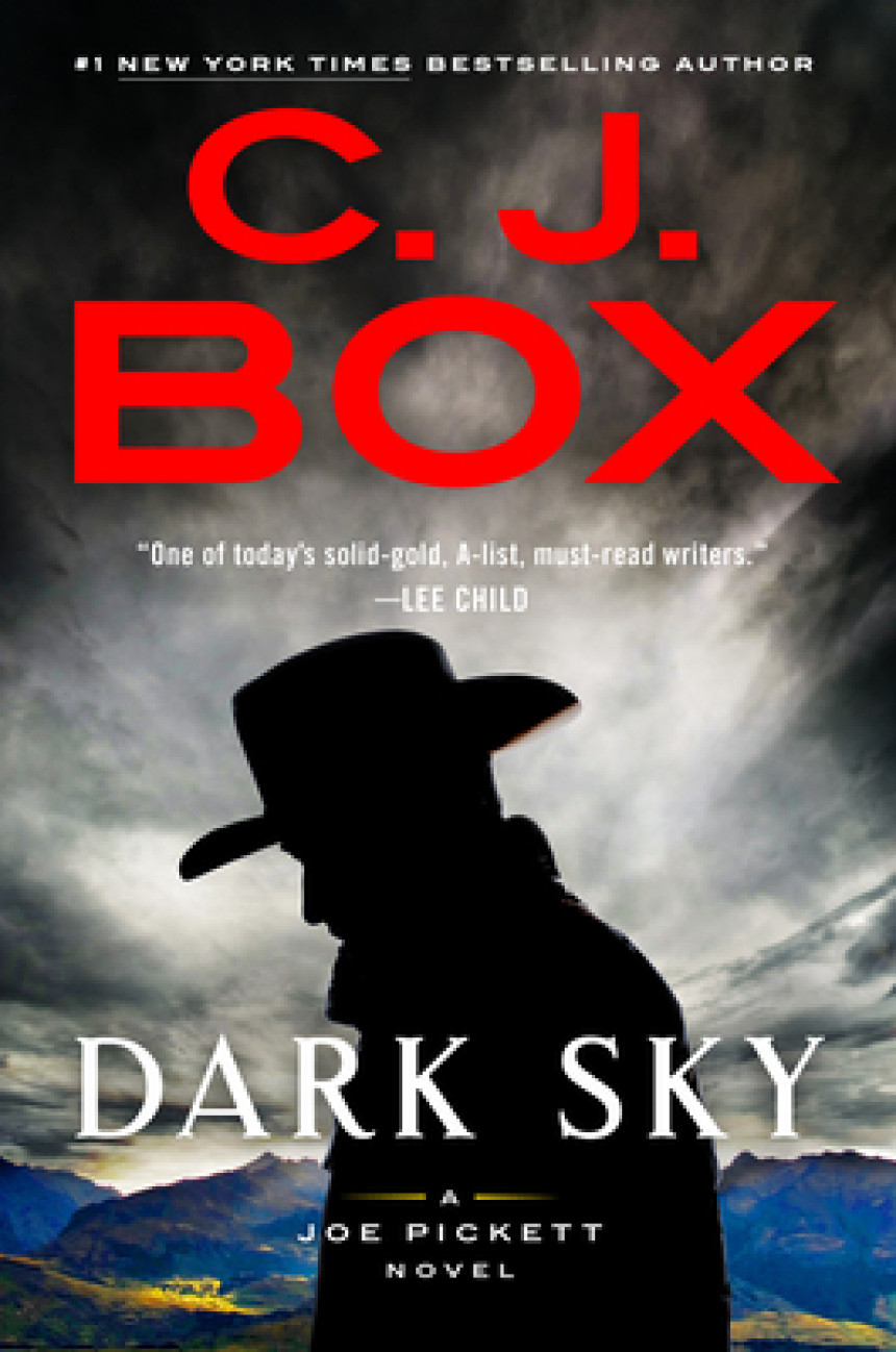 Free Download Joe Pickett #21 Dark Sky by C.J. Box