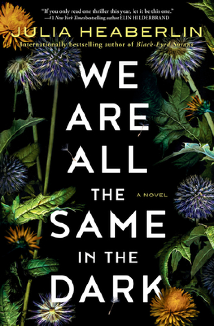 Free Download We Are All the Same in the Dark by Julia Heaberlin