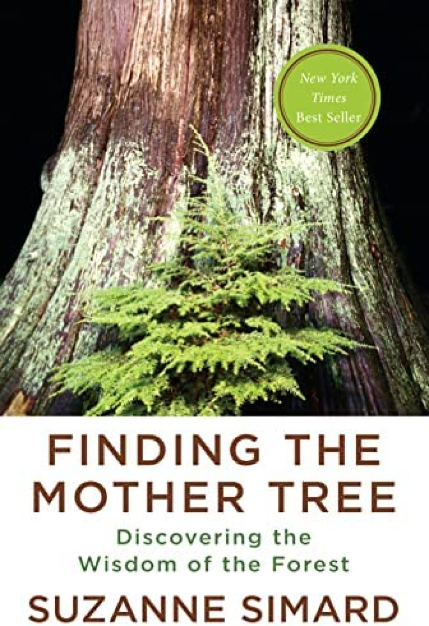 Free Download Finding the Mother Tree: Discovering the Wisdom of the Forest by Suzanne Simard