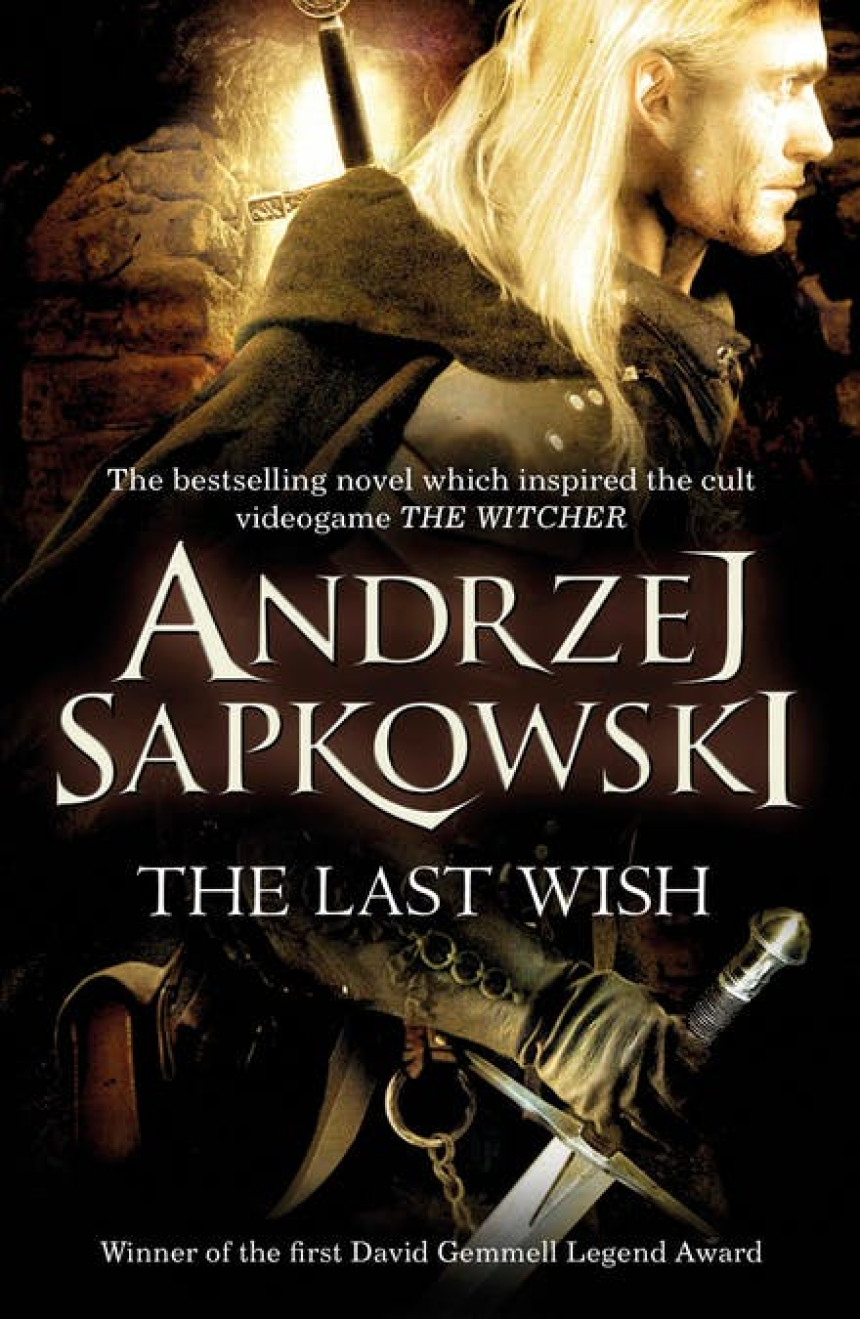 Free Download The Witcher #0.5 The Last Wish by Andrzej Sapkowski ,  Danusia Stok  (Translator)