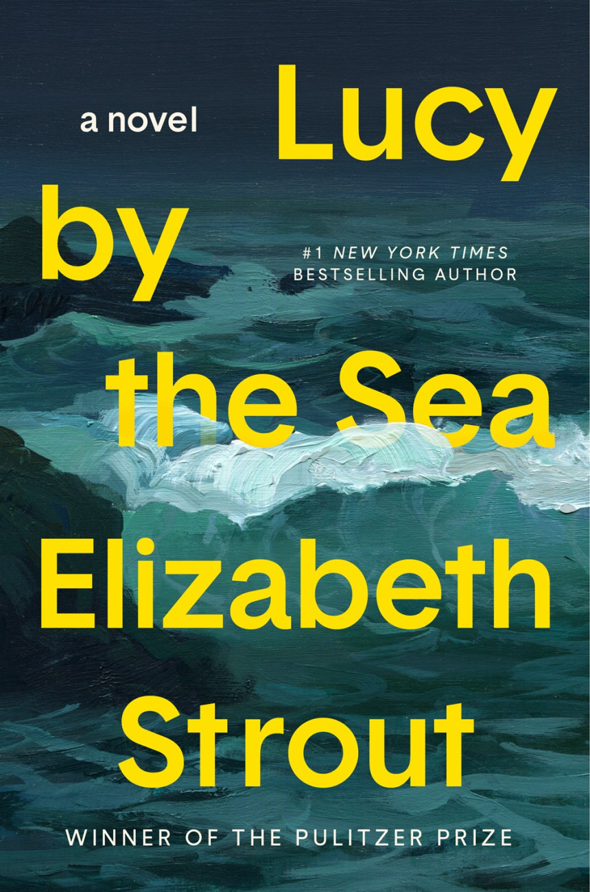 Free Download Amgash #4 Lucy by the Sea by Elizabeth Strout