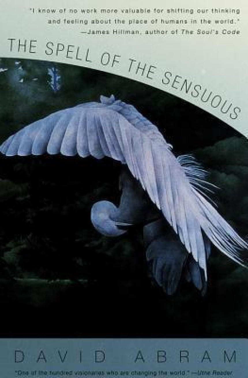 Free Download The Spell of the Sensuous: Perception and Language in a More-Than-Human World by David Abram