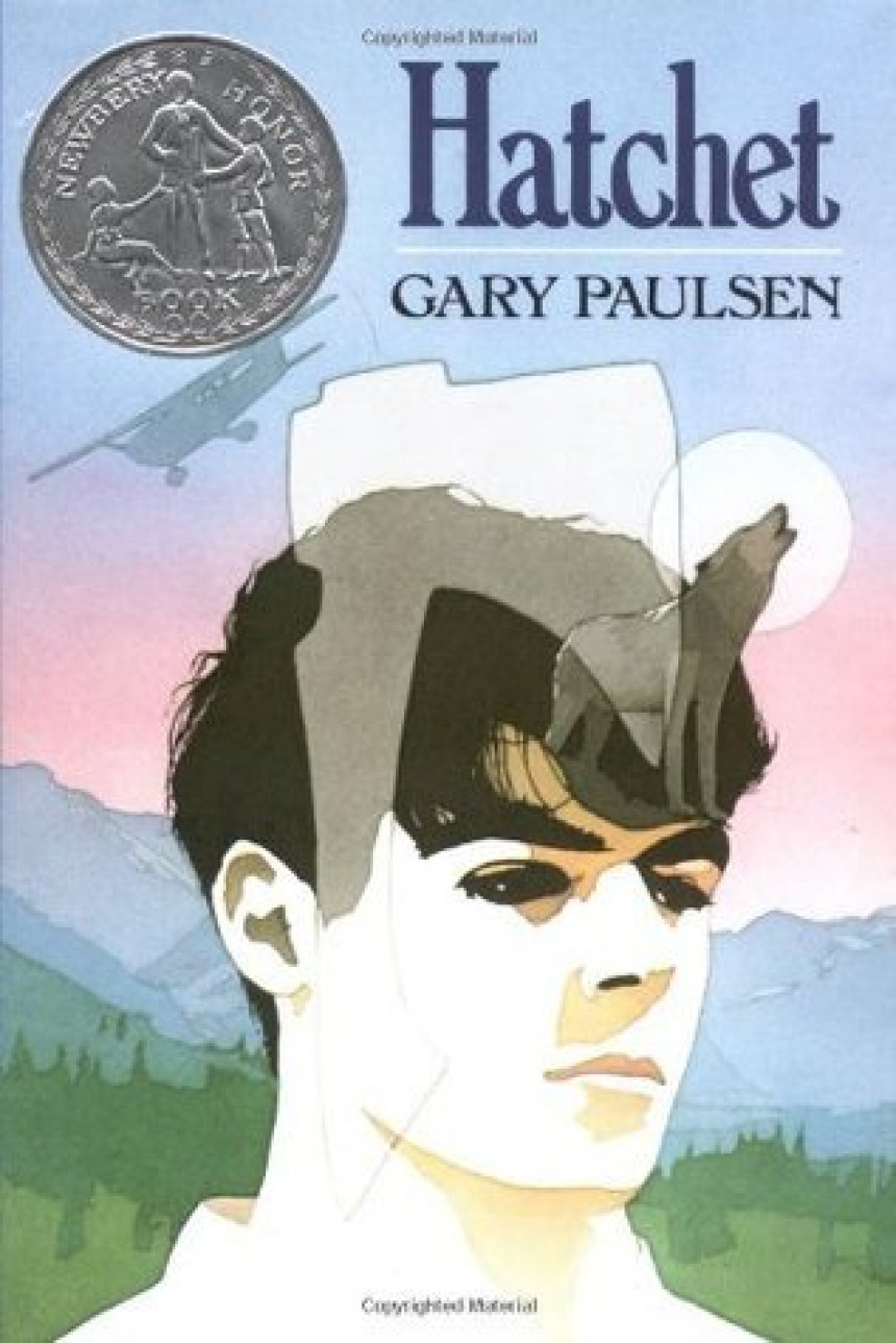 Free Download Brian's Saga #1 Hatchet by Gary Paulsen