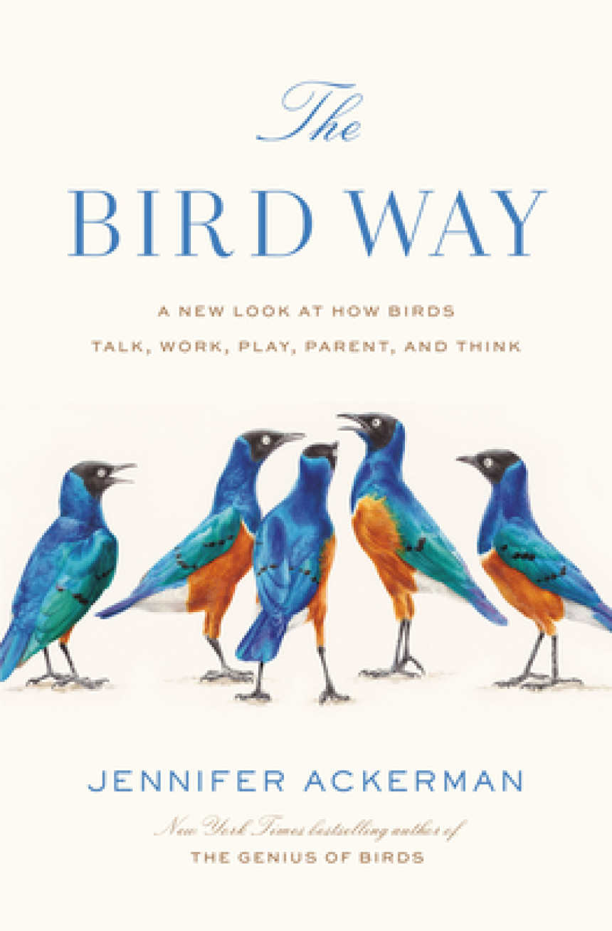 Free Download The Bird Way: A New Look at How Birds Talk, Work, Play, Parent, and Think by Jennifer Ackerman