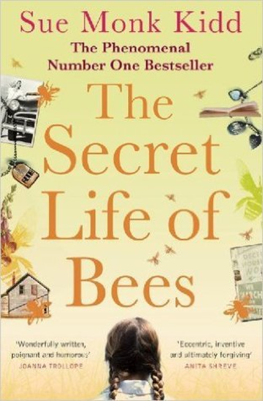 Free Download The Secret Life of Bees by Sue Monk Kidd