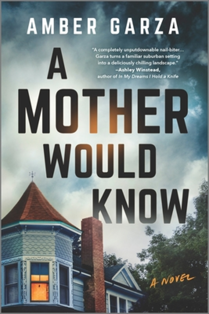 Free Download A Mother Would Know by Amber Garza