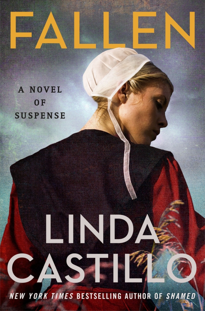 Free Download Kate Burkholder #13 Fallen by Linda Castillo