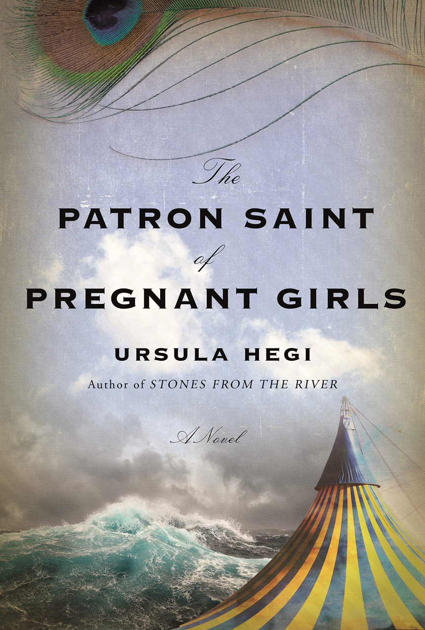 Free Download The Patron Saint of Pregnant Girls by Ursula Hegi