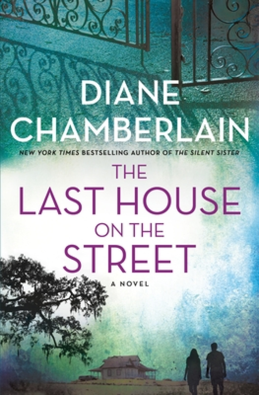 Free Download The Last House on the Street by Diane Chamberlain