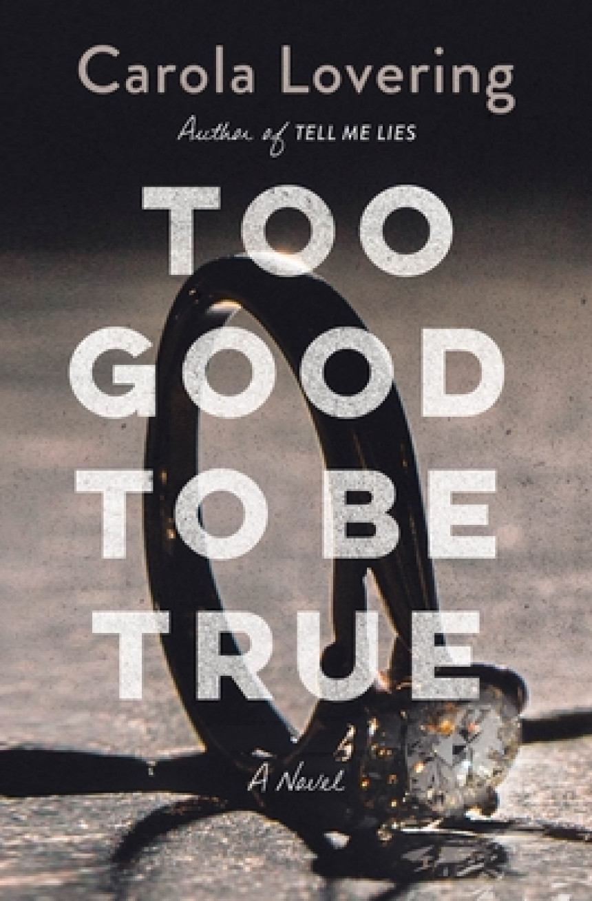 Free Download Too Good to Be True by Carola Lovering