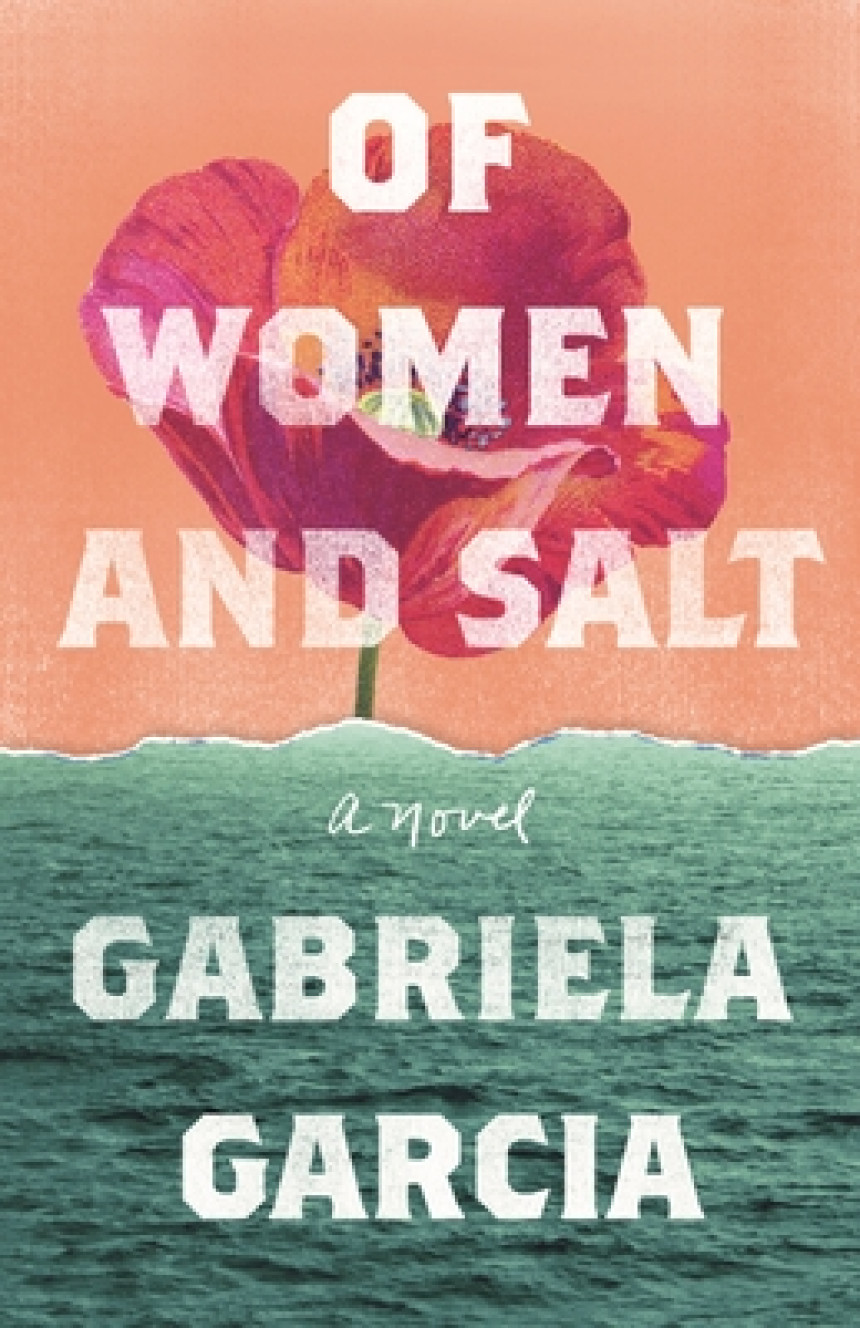 Free Download Of Women and Salt by Gabriela Garcia