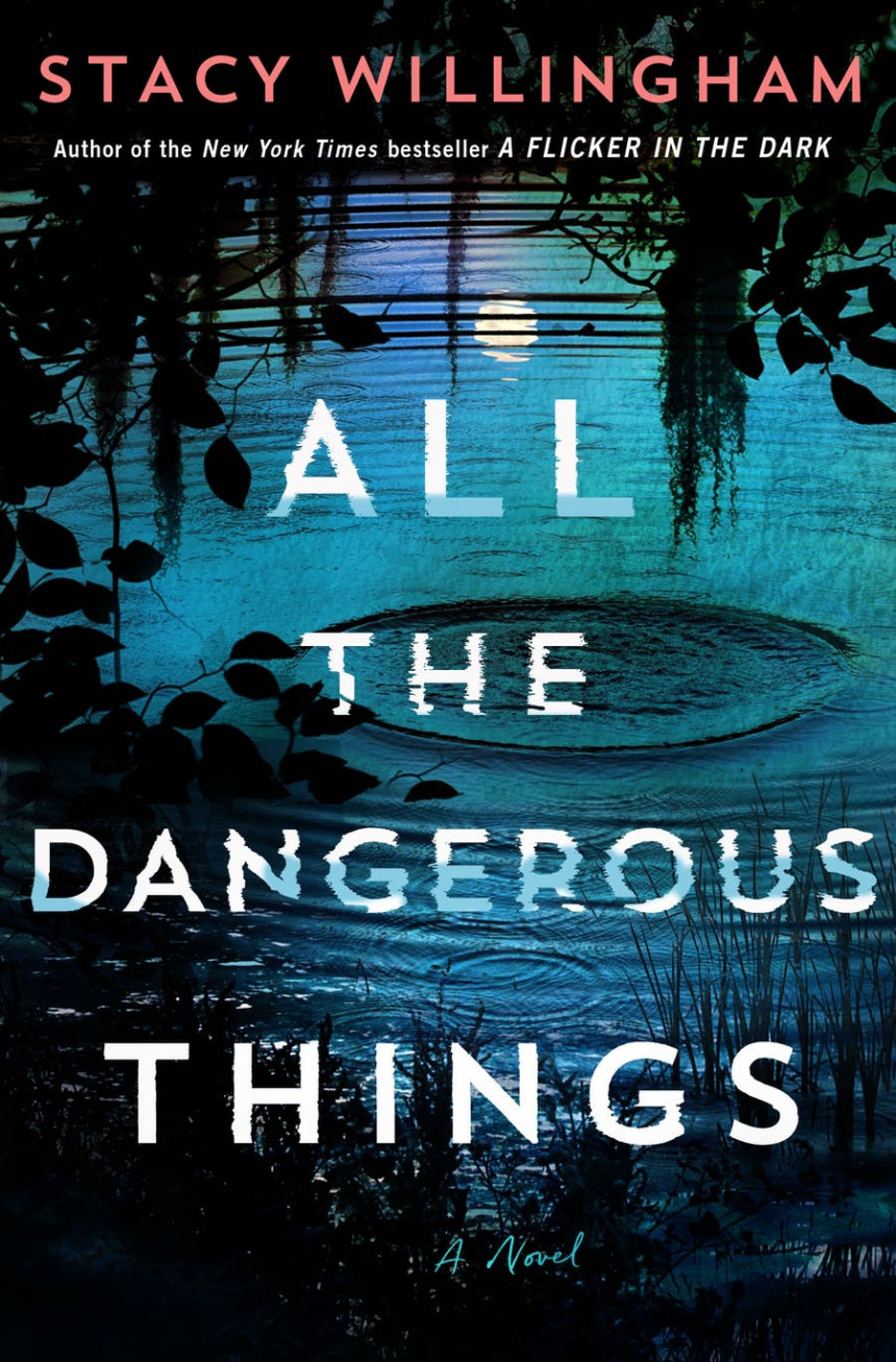 Free Download All the Dangerous Things by Stacy Willingham