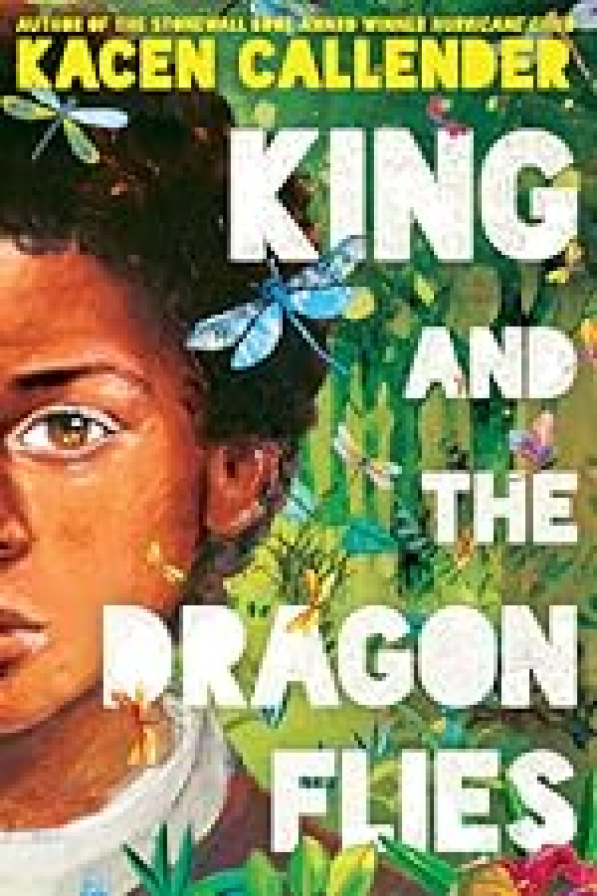 Free Download King and the Dragonflies by Kacen Callender