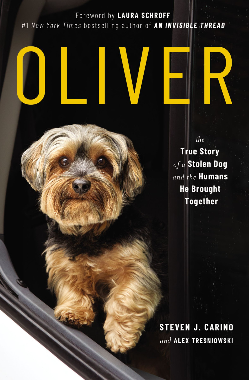 Free Download Oliver: The True Story of a Stolen Dog and the Humans He Brought Together by Steven J. Carino ,  Alex Tresniowski