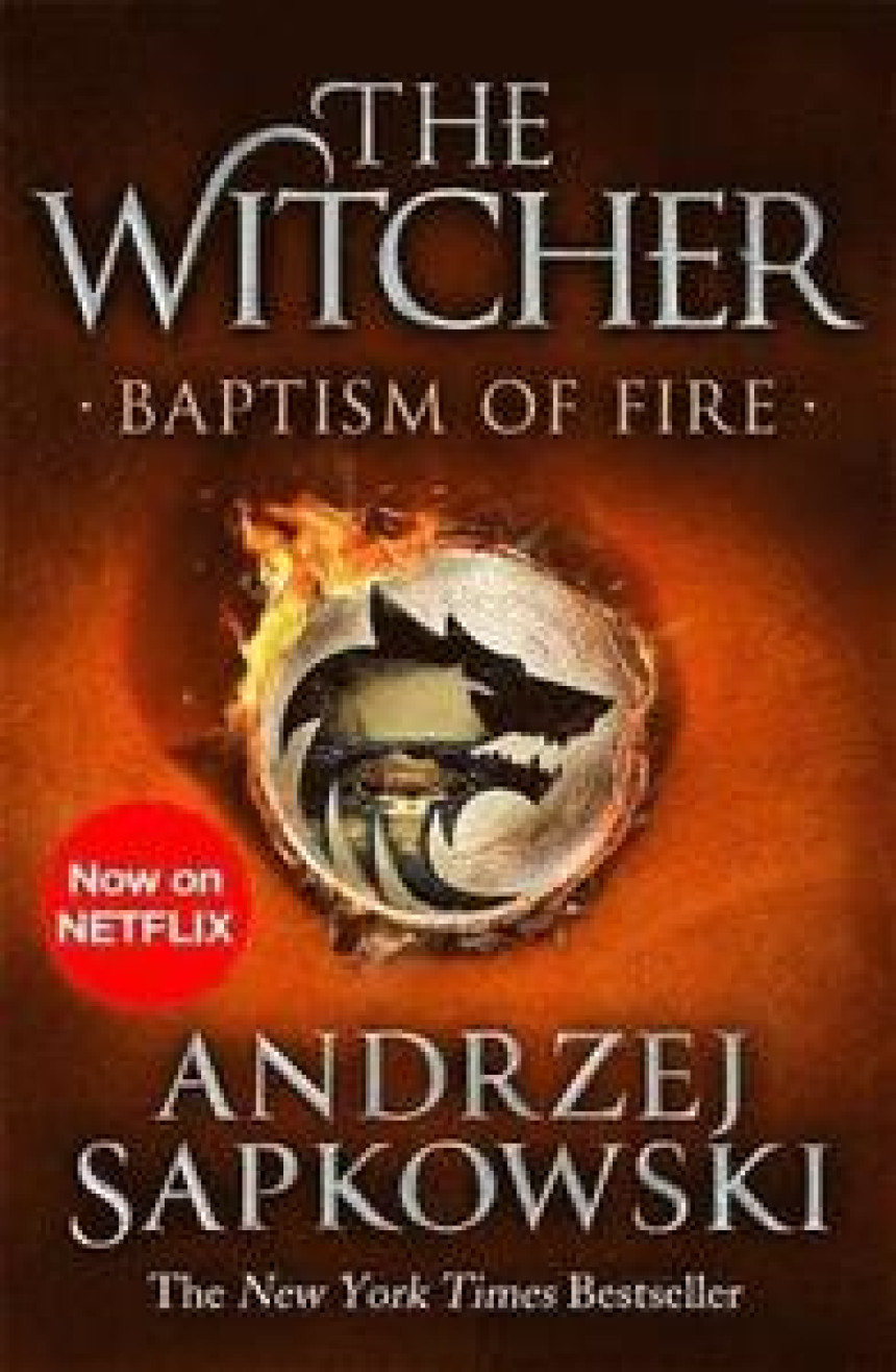 Free Download The Witcher #3 Baptism of Fire by Andrzej Sapkowski ,  David French  (Translator)