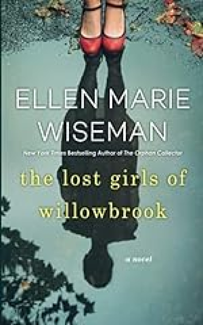 Free Download The Lost Girls of Willowbrook by Ellen Marie Wiseman